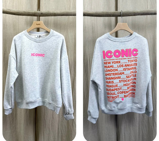 🌸PULL ICONIC EN COTON🌸